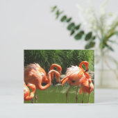Flamingo Briefkaart (Staand voorkant)