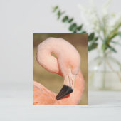 Flamingo Briefkaart (Staand voorkant)