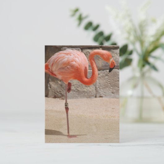 Flamingo Briefkaart (Staand voorkant)