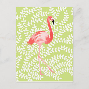 Flamingo Briefkaart