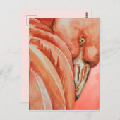 Flamingo Briefkaart (Voorkant / Achterkant)