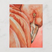 Flamingo Briefkaart (Voorkant)