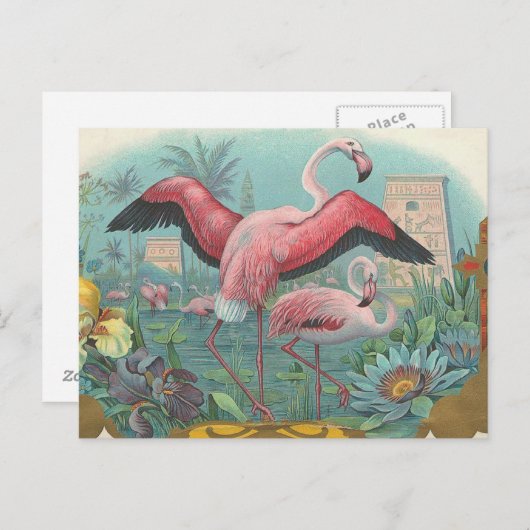 Flamingo Briefkaart (Voorkant / Achterkant)