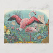 Flamingo Briefkaart (Voorkant)