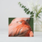 Flamingo Briefkaart (Staand voorkant)