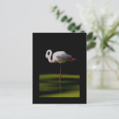 flamingo briefkaart (Staand voorkant)