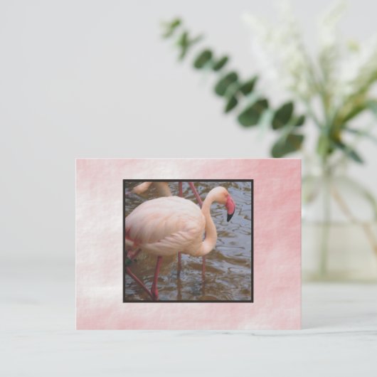 Flamingo Briefkaart (Staand voorkant)