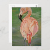 Flamingo Briefkaart (Voorkant / Achterkant)