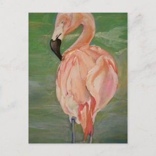 Flamingo Briefkaart