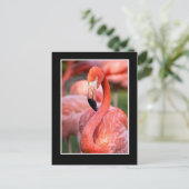 Flamingo Briefkaart (Staand voorkant)