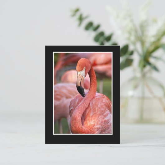 Flamingo Briefkaart (Staand voorkant)