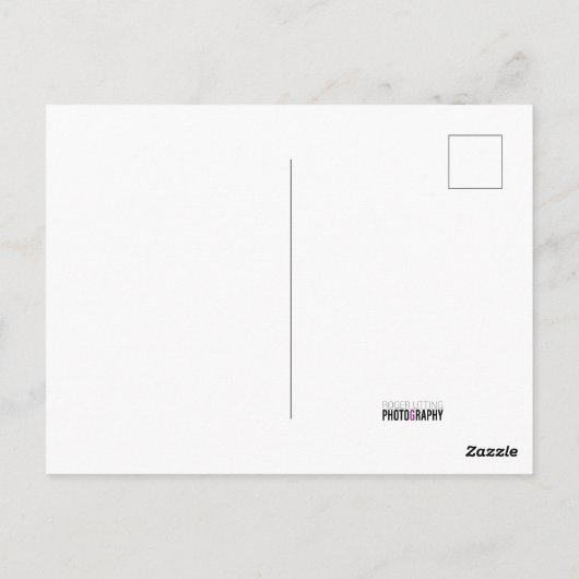 Flamingo Briefkaart (Achterkant)