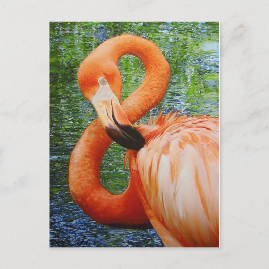 FLAMINGO BRIEFKAART (Voorkant)