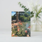 FLAMINGO-BRIEFKAART BRIEFKAART (Staand voorkant)