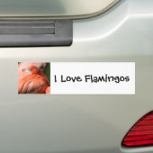 Flamingo Bumpersticker (Op auto)