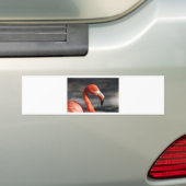 Flamingo Bumpersticker (Op auto)