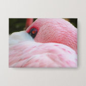 Flamingo Button (Voorkant)