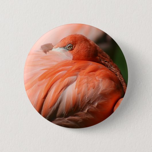 Flamingo Button (Voorkant)