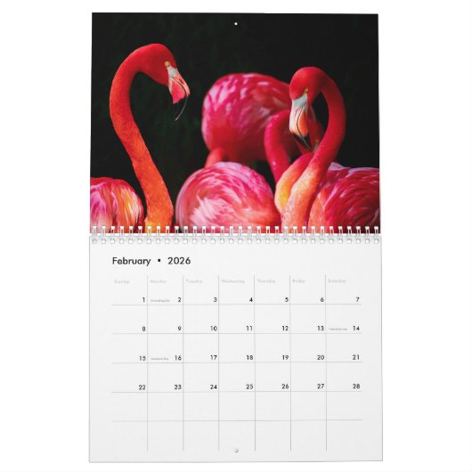 Flamingo Calendar 2017 Kalender (Feb 2026)