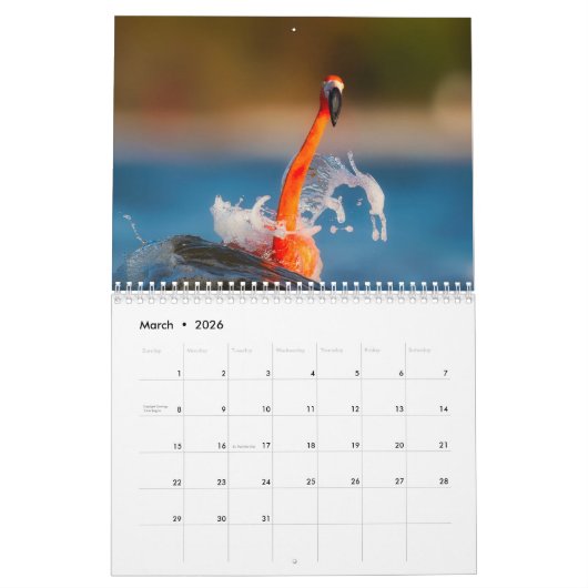 Flamingo Calendar 2020 Kalender (Mar 2026)