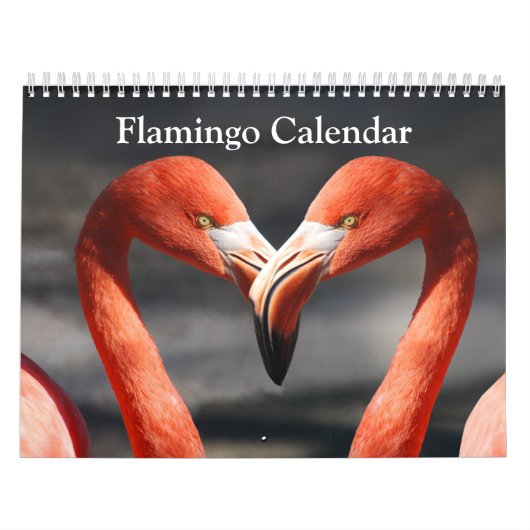 Flamingo Calendar 2020 Kalender (Hoes)