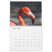 Flamingo Calendar 2020 Kalender (Jan 2027)