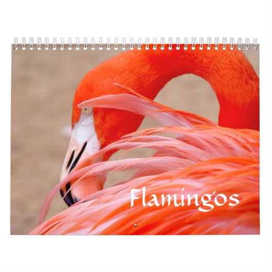 Flamingo Calendar Kalender (Hoes)