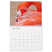 Flamingo Calendar Kalender (Mar 2027)