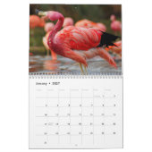 Flamingo Calendar Kalender (Jan 2027)