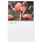 Flamingo Calendar Kalender (Feb 2027)