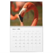 Flamingo Calendar Kalender (Mar 2026)
