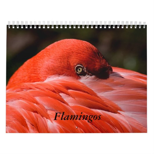 Flamingo Calendar Kalender (Hoes)
