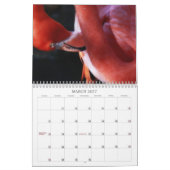 Flamingo Calendar Kalender (Mar 2027)