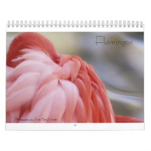 Flamingo Calendar Kalender