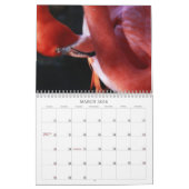 Flamingo Calendar Kalender (Mar 2026)