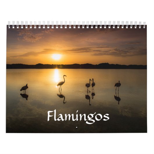 Flamingo Calendar Kalender (Hoes)