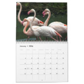 Flamingo Calendar Kalender (Jan 2026)