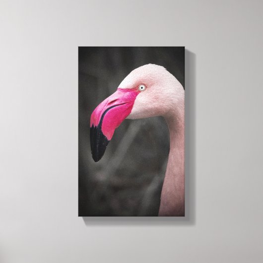 Flamingo Canvas Afdruk (Voorkant)