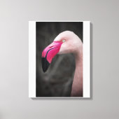 Flamingo Canvas Afdruk (Voorkant)