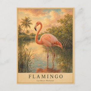 Flamingo Caribische Wetlands VINTAGE Briefkaart