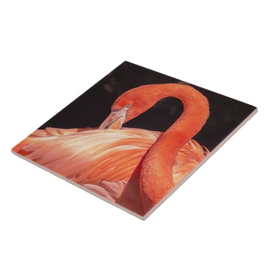 Flamingo Ceramic Tegel Tegeltje (Zijkant)