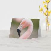 Flamingo Close Up Card Kaart (Gele Bloem)
