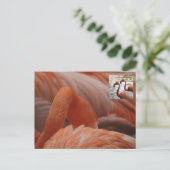 Flamingo Close Up DIY Briefkaart (Staand voorkant)