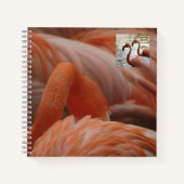 Flamingo Close Up Notitieboek (Voorkant)