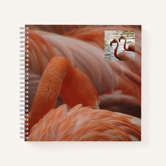 Flamingo Close Up Notitieboek (Voorkant)