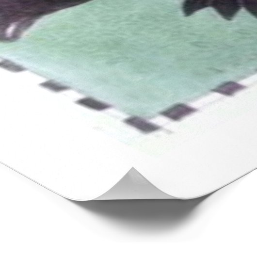 Flamingo Dance Poster (Hoek)