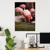 Flamingo - De Flamingo Poster (Thuiskantoor)