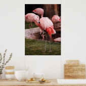 Flamingo - De Flamingo Poster (Keuken)