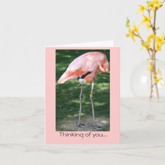Flamingo Denken aan jou... Kaart (Gele Bloem)