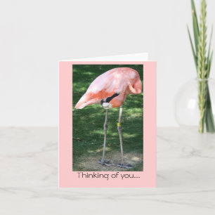 Flamingo Denken aan jou... Kaart